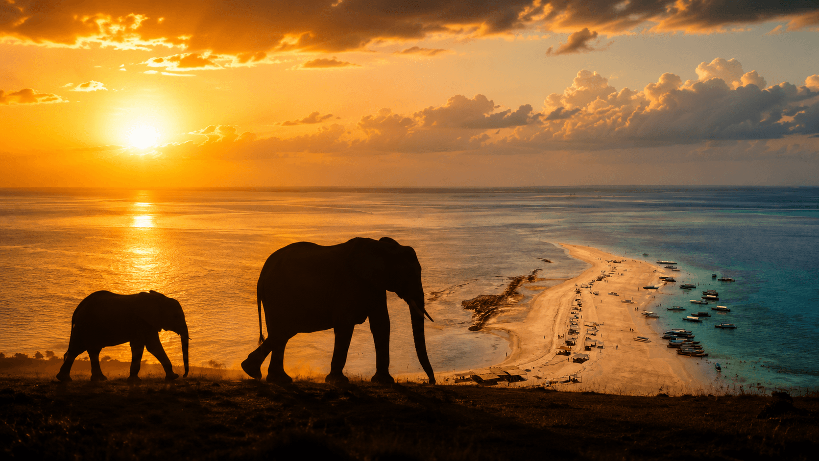 Two elephants silhouetted above a Zanzibar sandbank at sunset