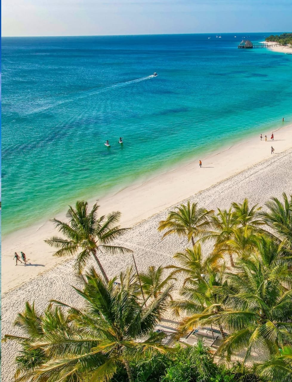 A palm-lined white Zanzibar beach meeting clear turquoise Indian Ocean water