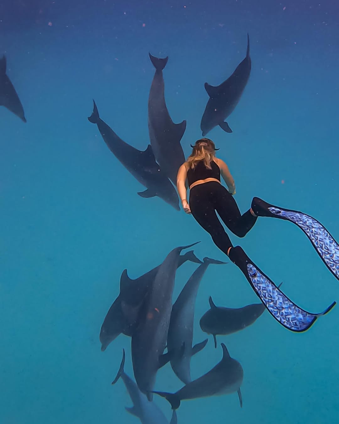 A swimmer observing dolphins in the clear water near Mnemba