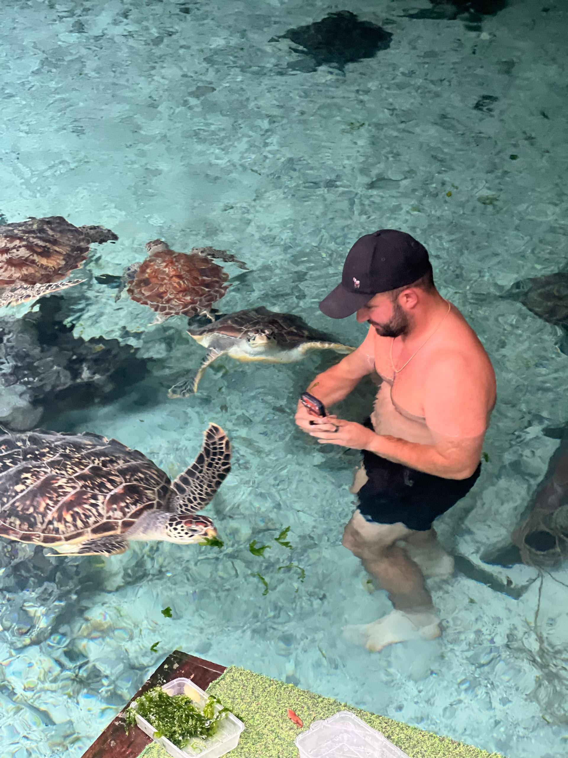 A visitor swimming beside sea turtles in clear Zanzibar water