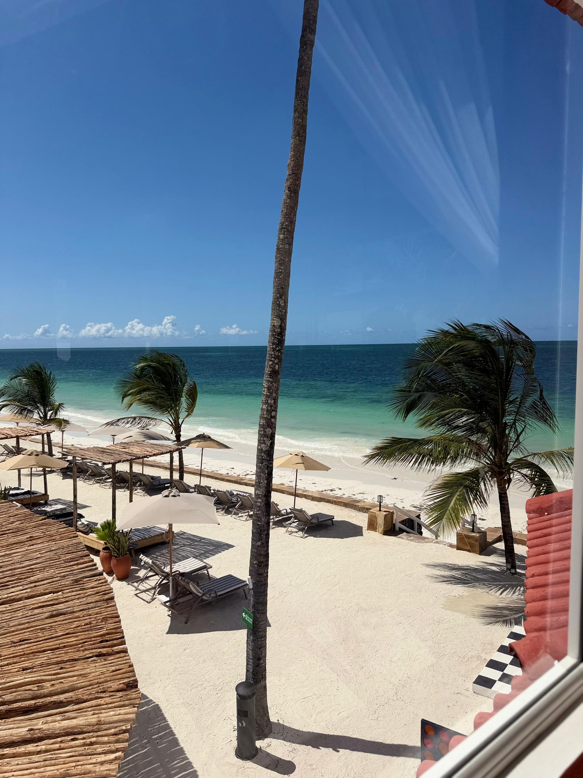 A palm-lined white-sand beach and clear Indian Ocean water on Zanzibar